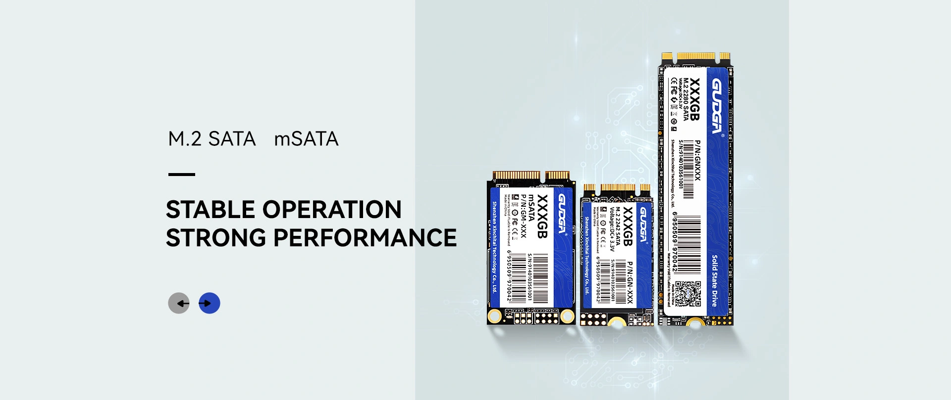 சீனா தள்ளுபடி M.2 SATA SSD உற்பத்தியாளர்