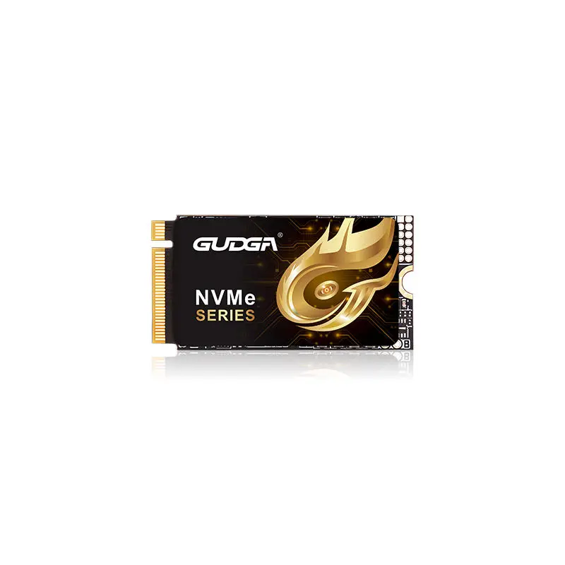 2242 நீளம் PCIE 4.0 NVMe SSD 7000MB/s